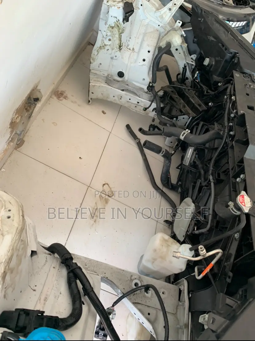 Honda Cr-v 2023,2024,2025 Front Cut Hybrid