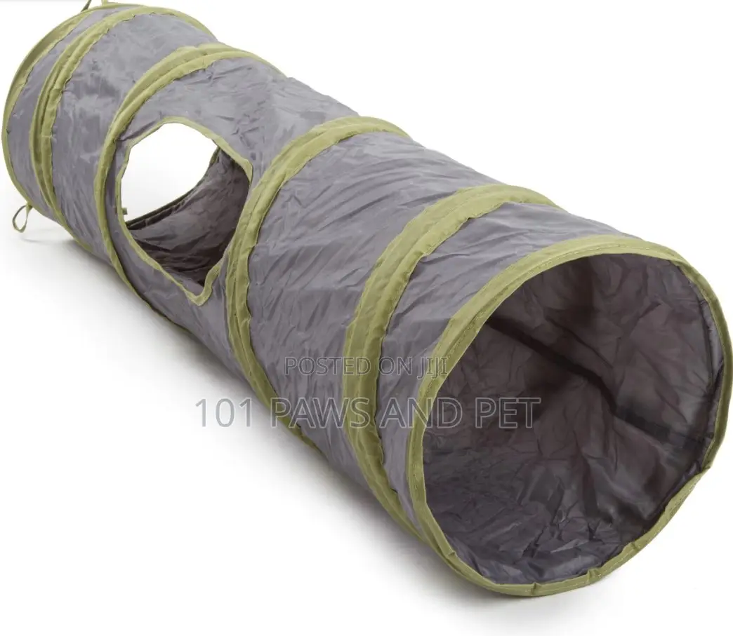 Cat Tunnel