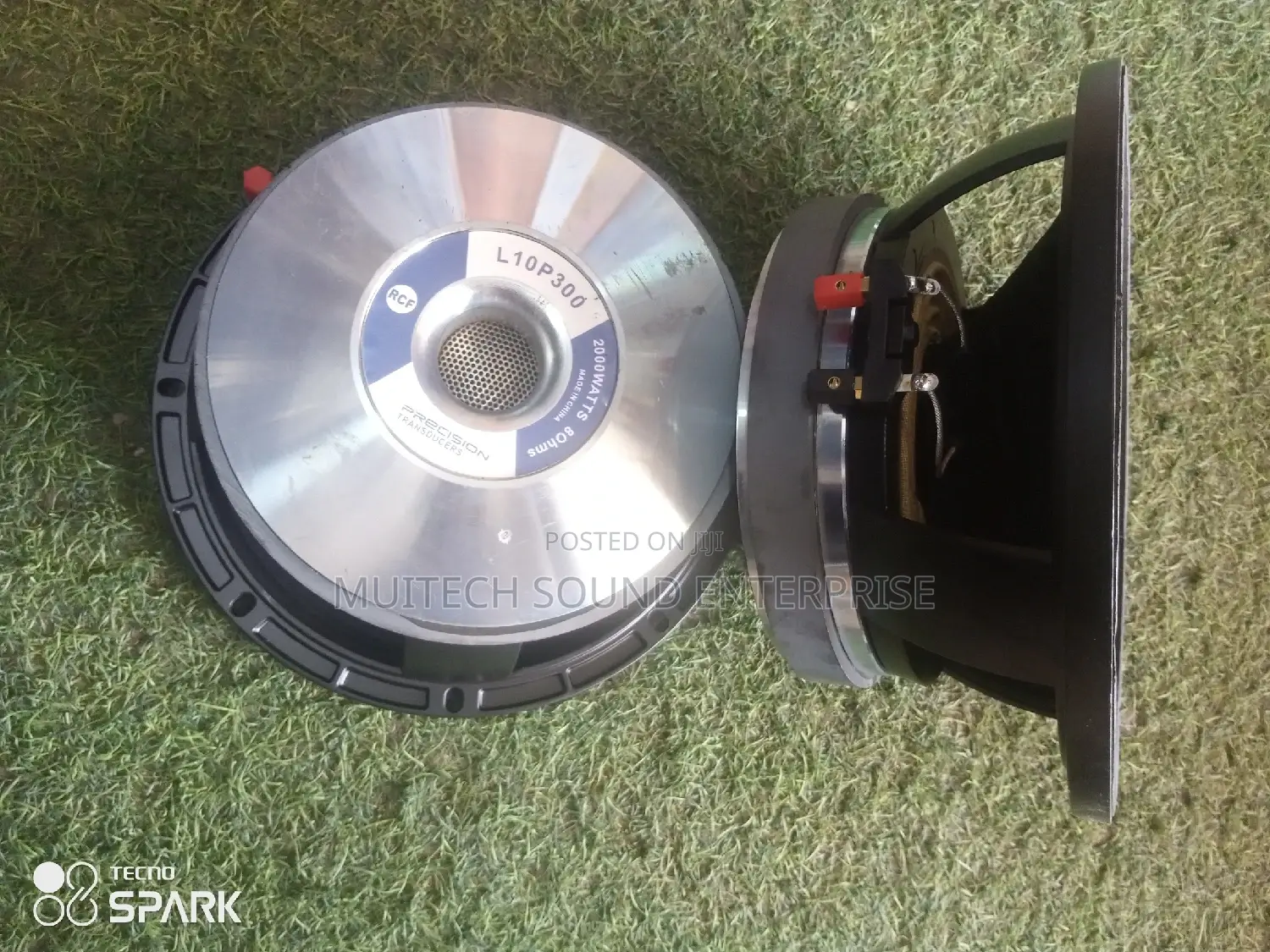 Naked Speaker '10' Inches Double Magnetic