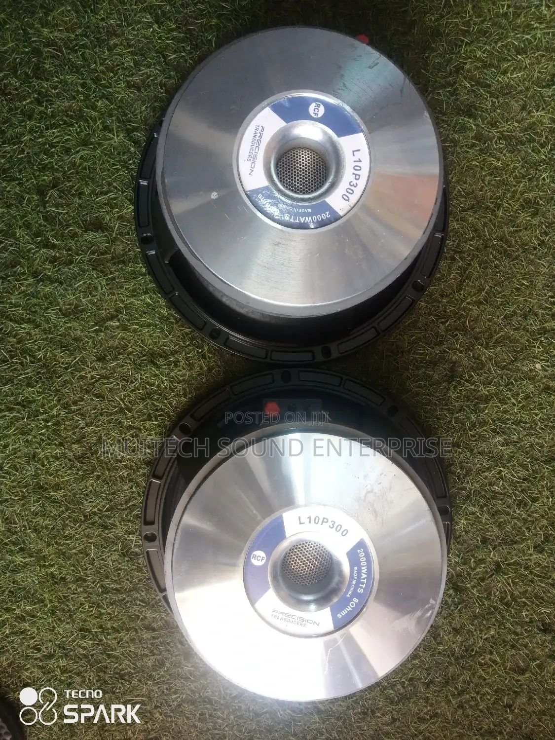 Naked Speaker '10' Inches Double Magnetic