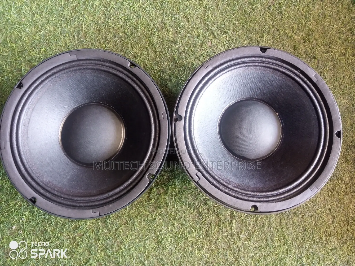 Naked Speaker '10' Inches Double Magnetic