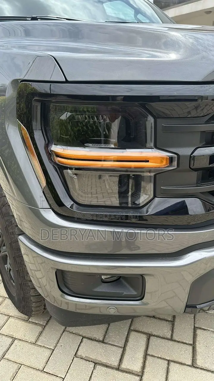 Ford F-150 XLT 2024 Gray