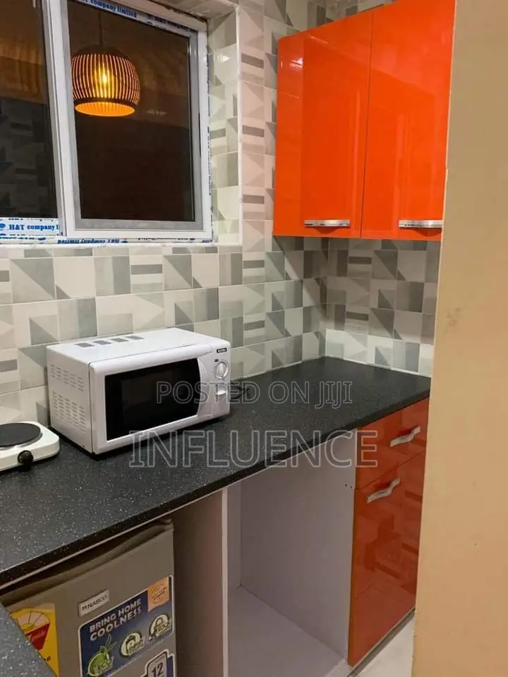 Furnished 1bdrm Apartment in East Airport for rent