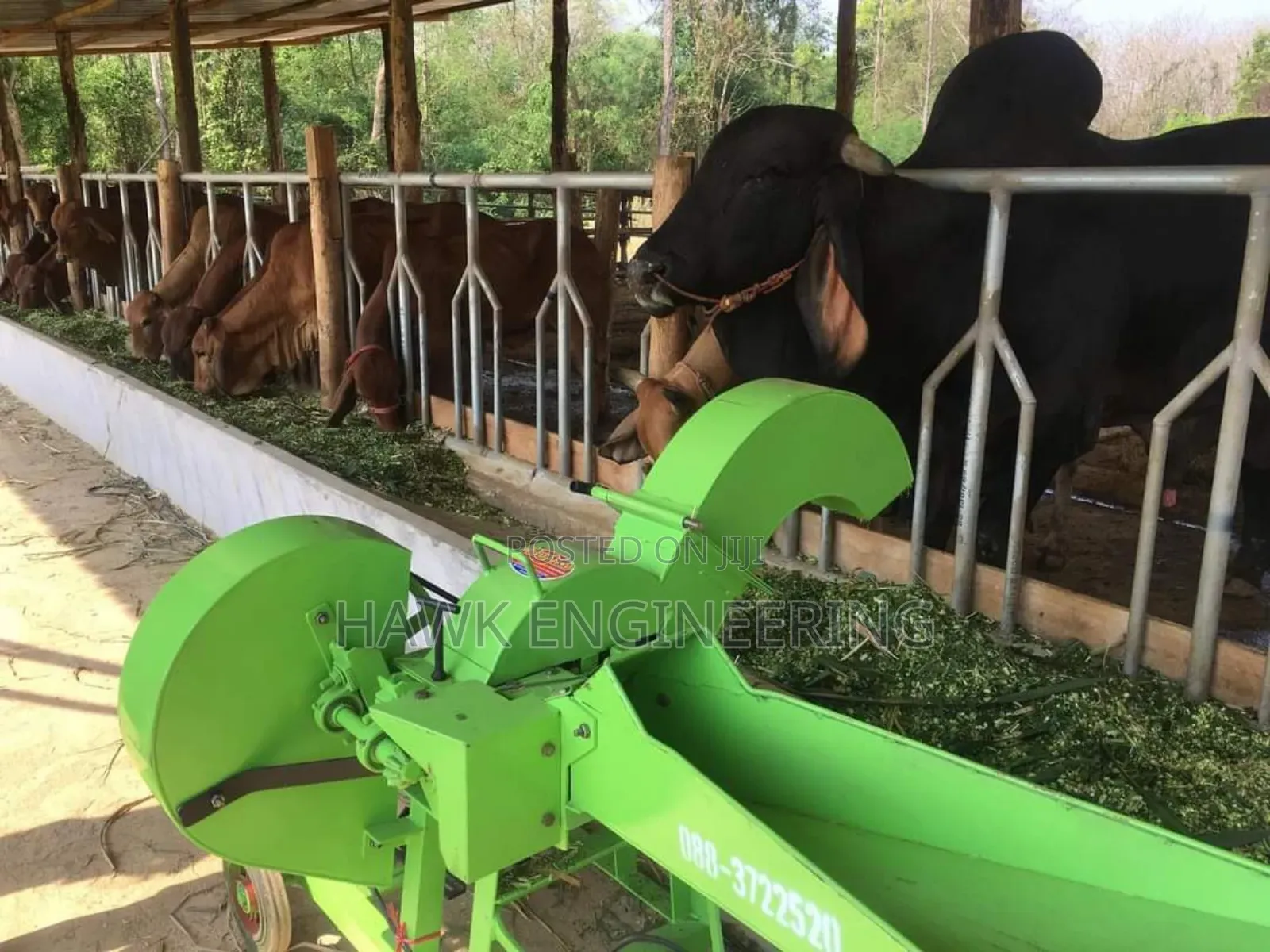 Chaff Cutter
