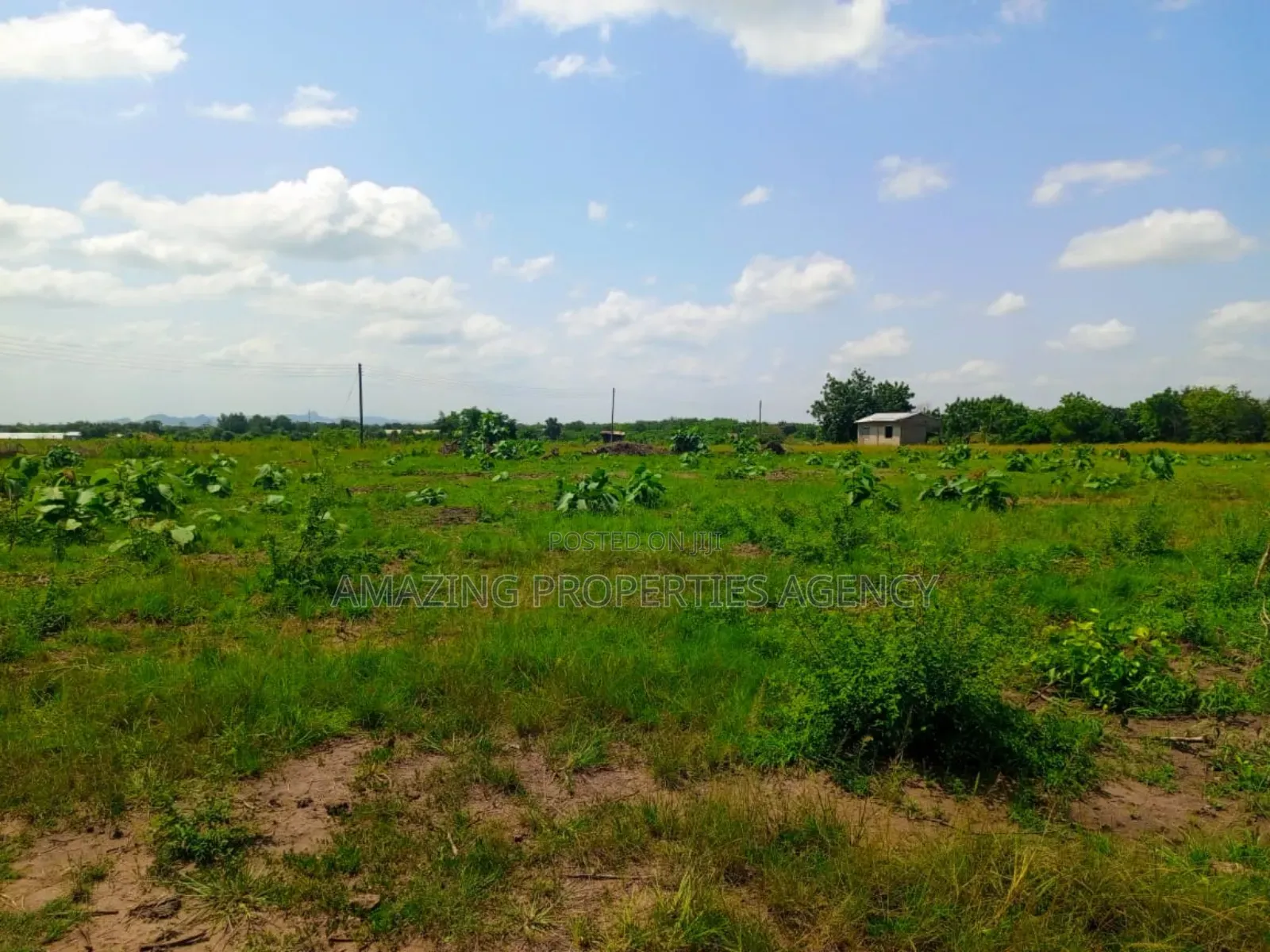 200 Acres of Riverfront Land at Atimpoku Juapong