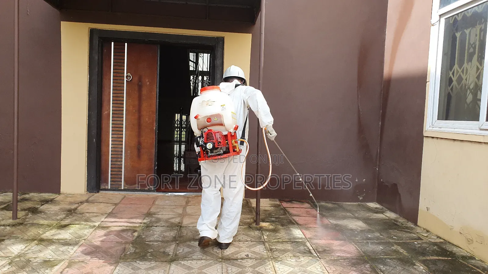 Clean All Cockroaches and Termites Now