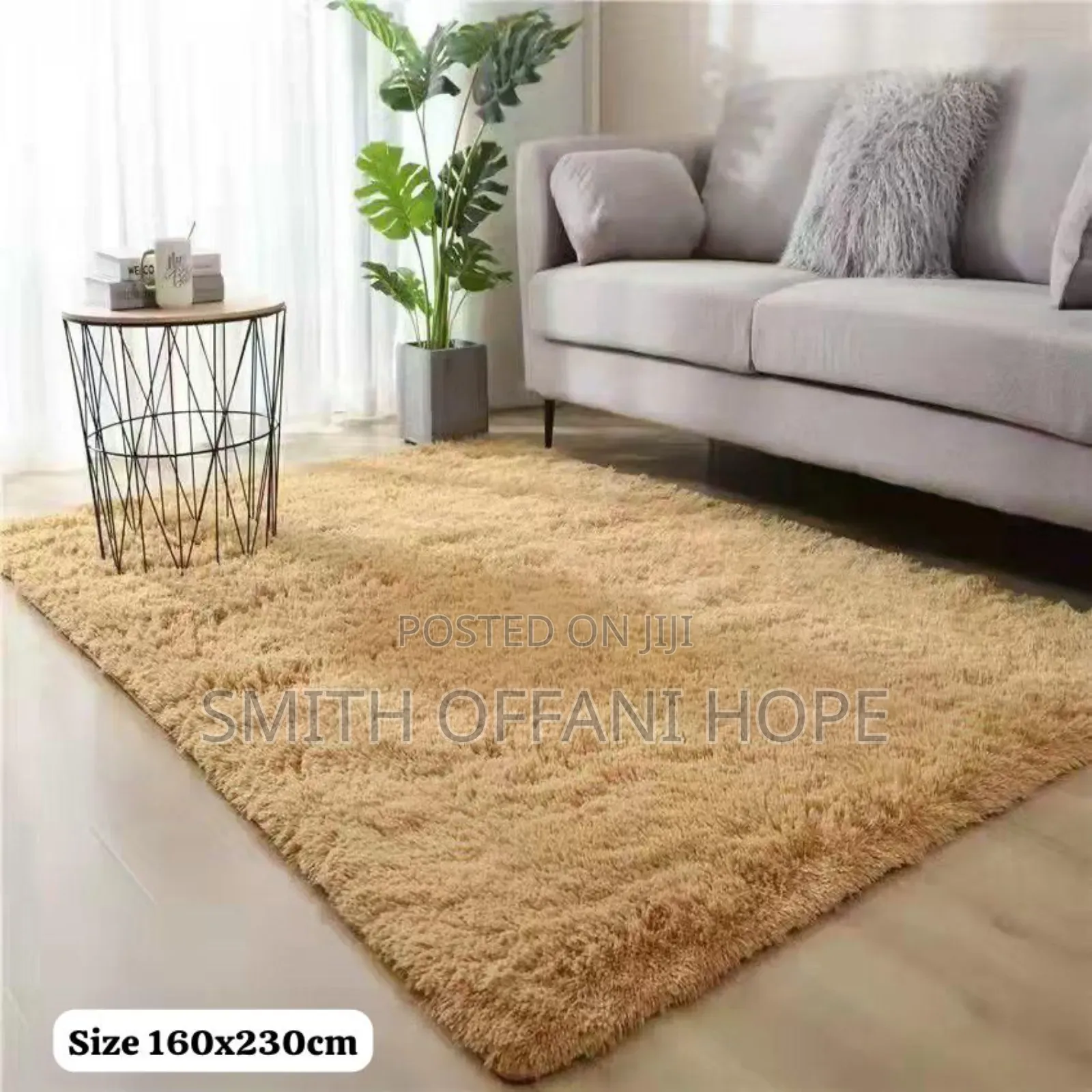 "Transform Your Home With Plush, Fluffy Carpets