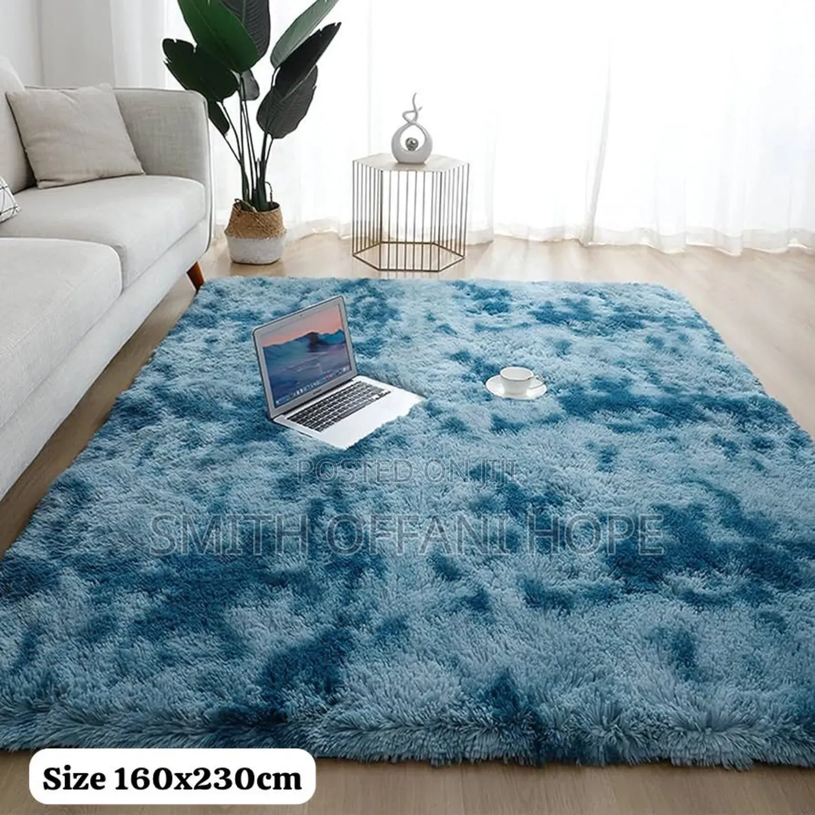 Indulge in the Softness of Fluffy Carpets"