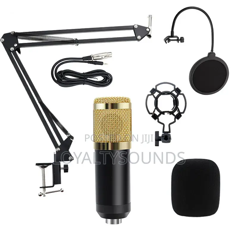 Bm800 Microphone With Stand and Pop Filter