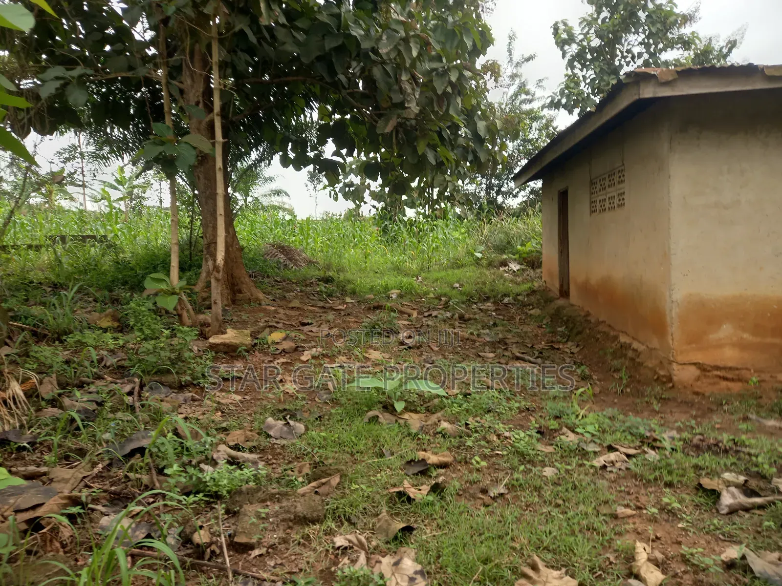 Gold Land for Sale
