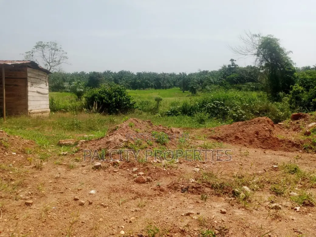 Double Plot for Sale in Ejisu - Asienimpong