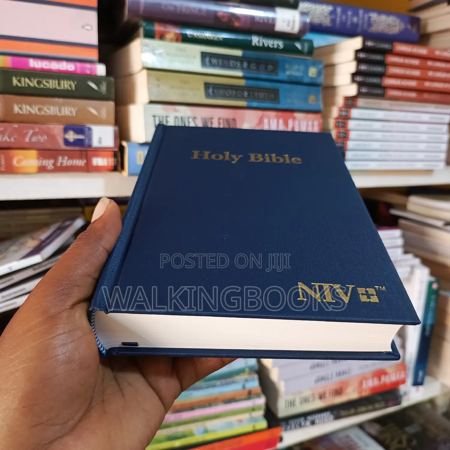 NIV Holy Bible