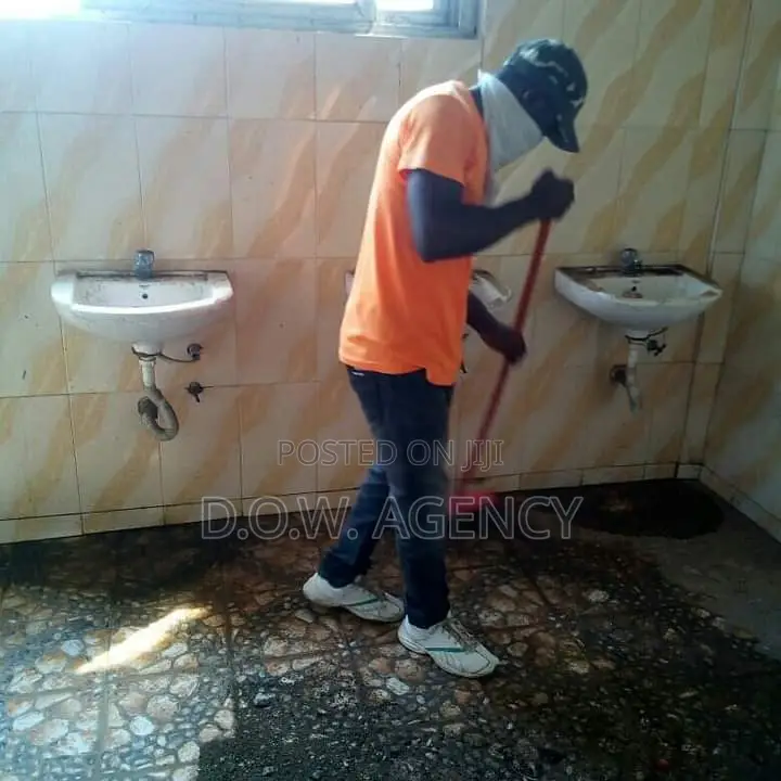 Cleaning, Fumigation and Painting