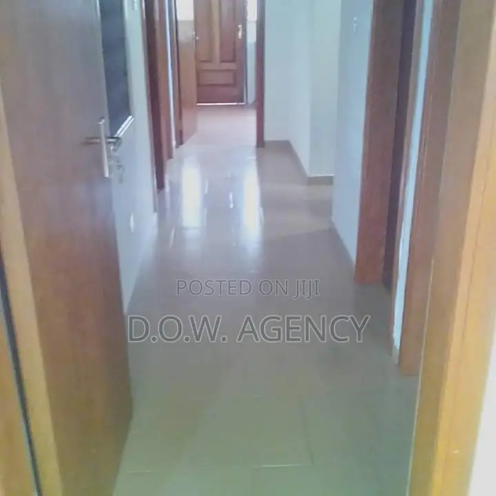 Cleaning, Fumigation and Painting