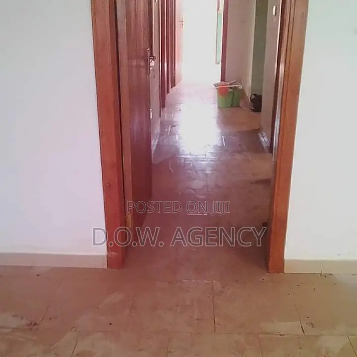 Cleaning, Fumigation and Painting