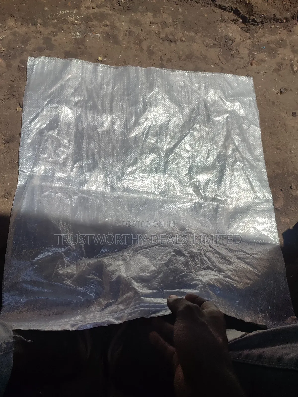 Transparent Sacks