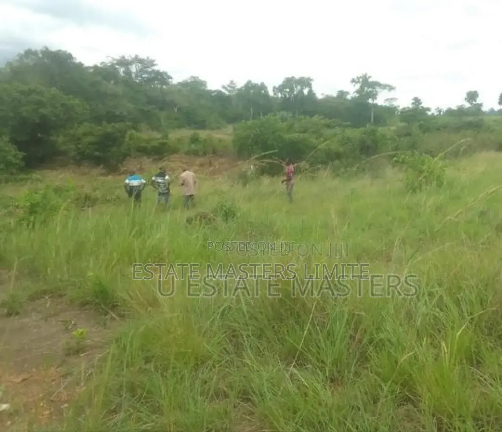 100×100 Plot of Land for Sale at Potsin Off the Wineba Road
