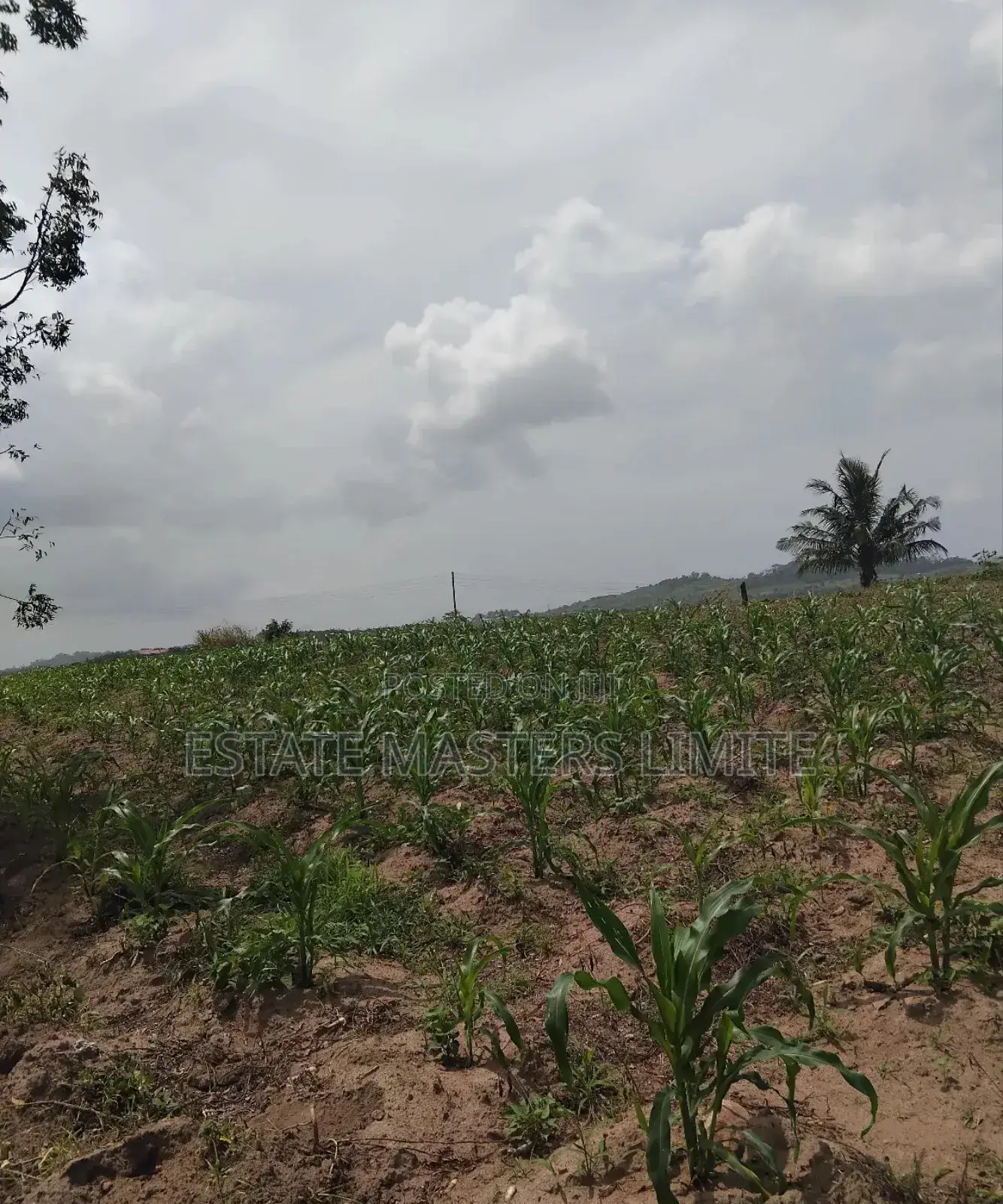 70x100 Land at Affordable Prices at Dominase