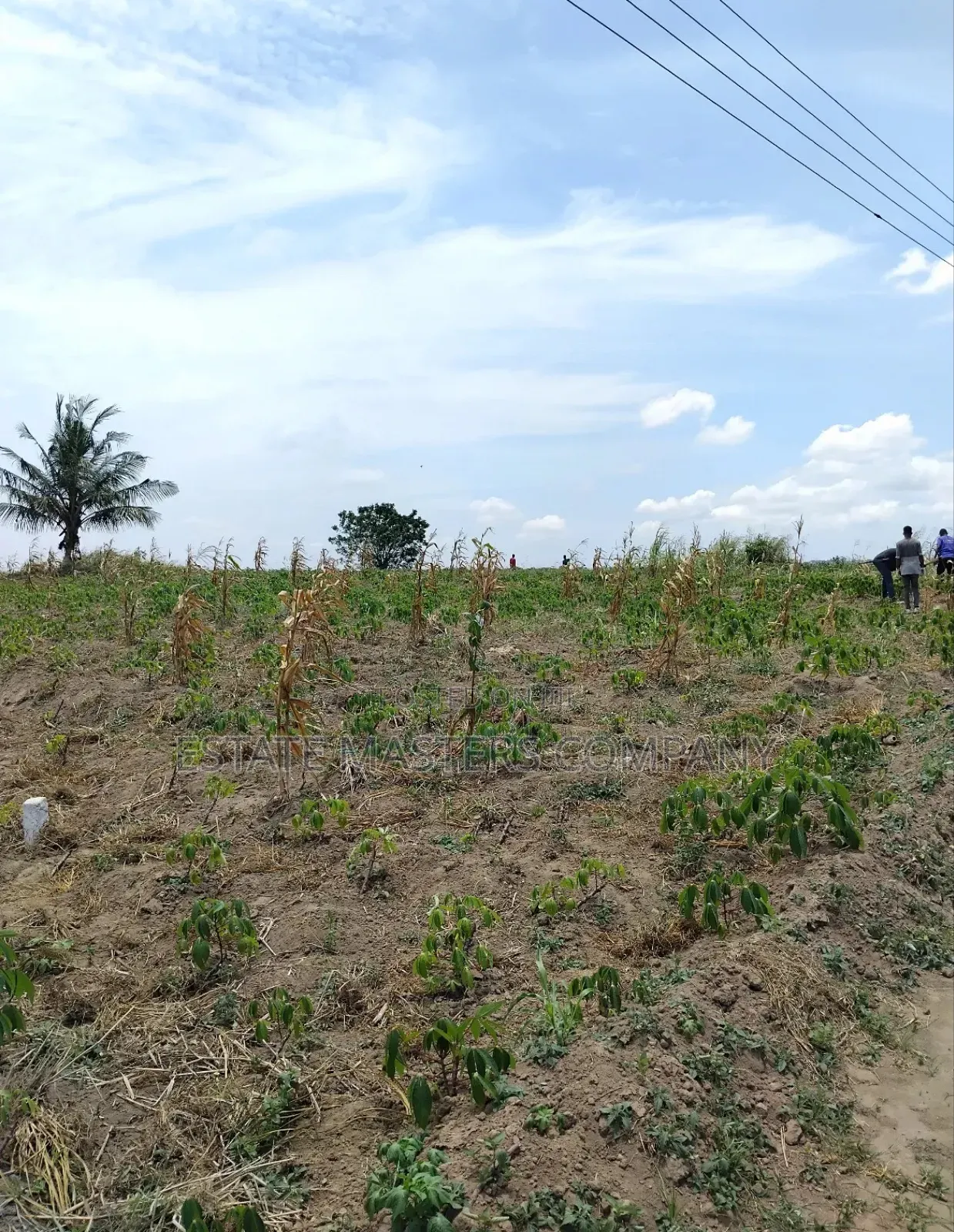 We Are Here to Delight Our Customers When It Comes to Lands