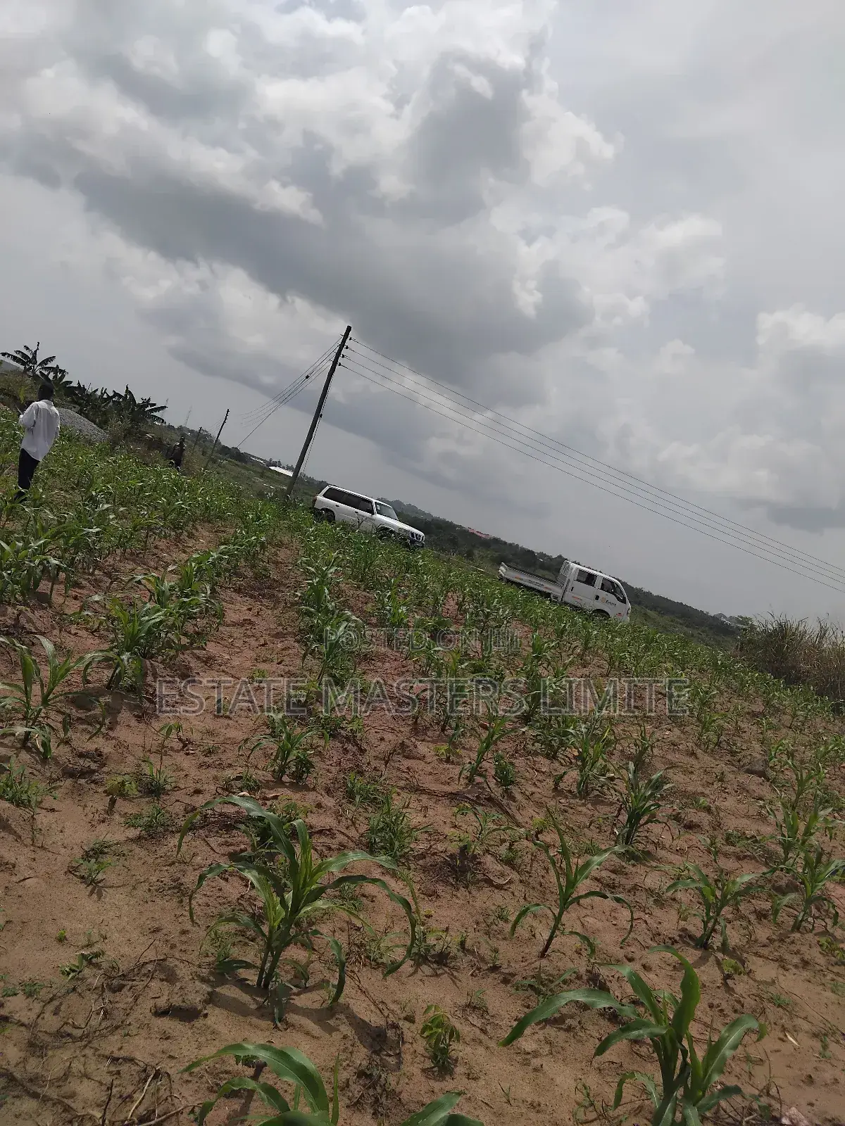Full Plots at an Affordable Price for Sale