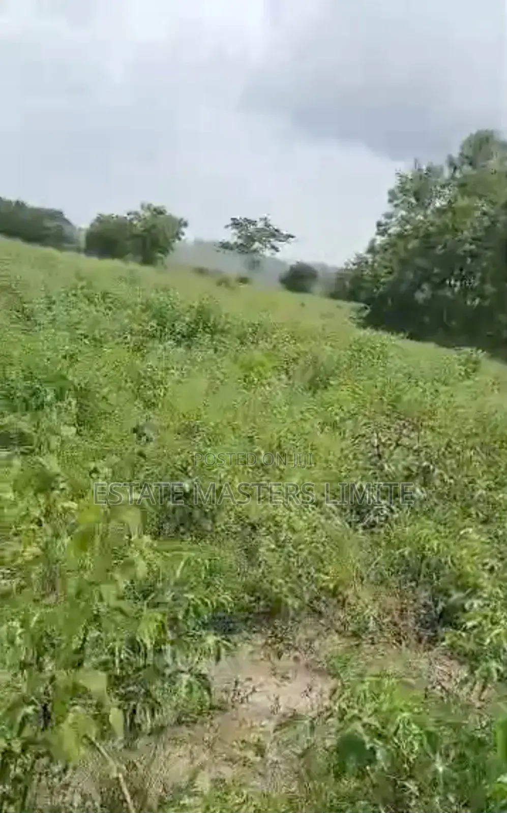 Acres of Lands for Sale at Affordable Prices at Dominase