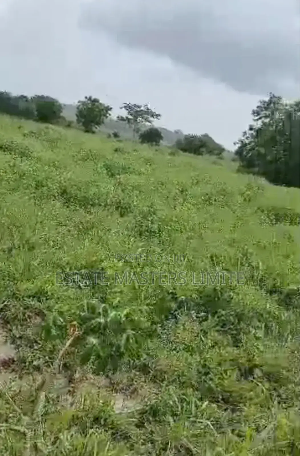 A Discounted Plots of Acres for Sale at Panforkrom