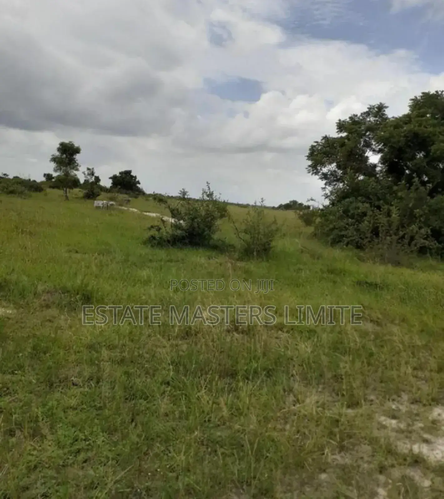 Plots Of Land Close To The Gomoa East Municipal For Sale