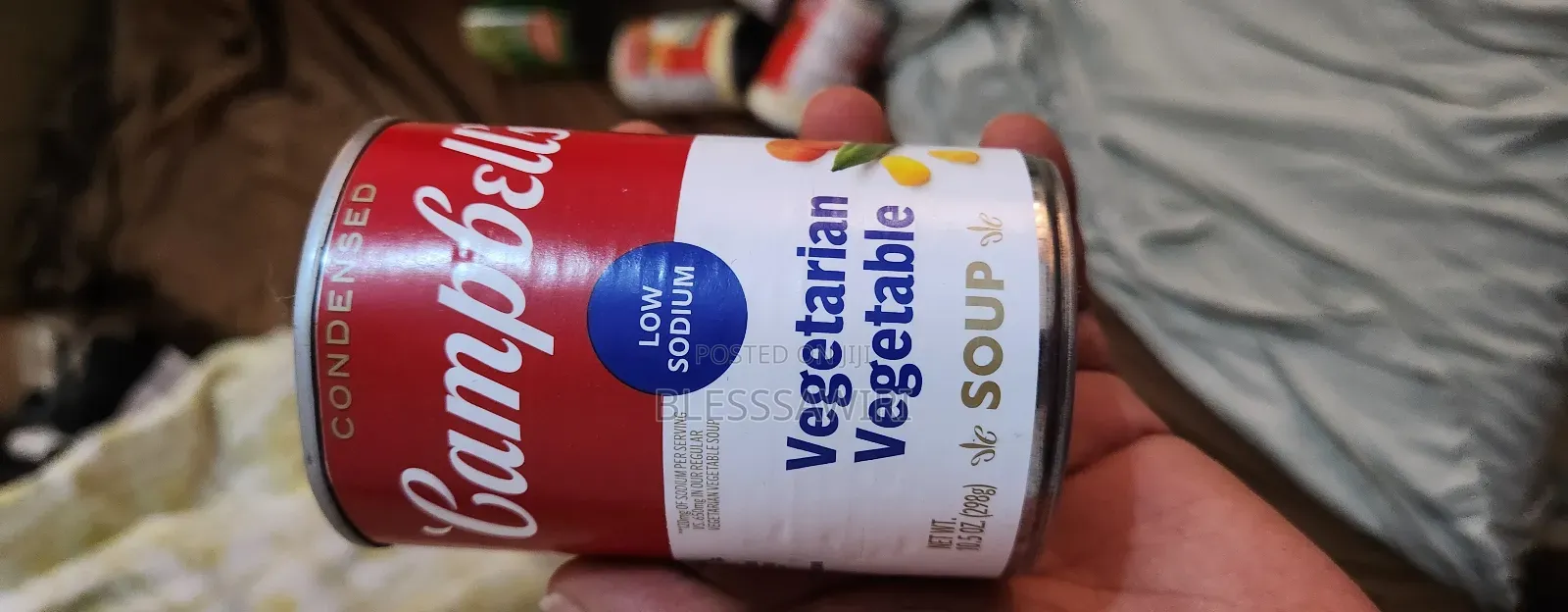 American Campbell's Condensed Vegetable Soup