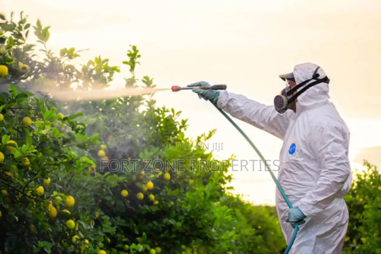 End of Year Clean Up Pest