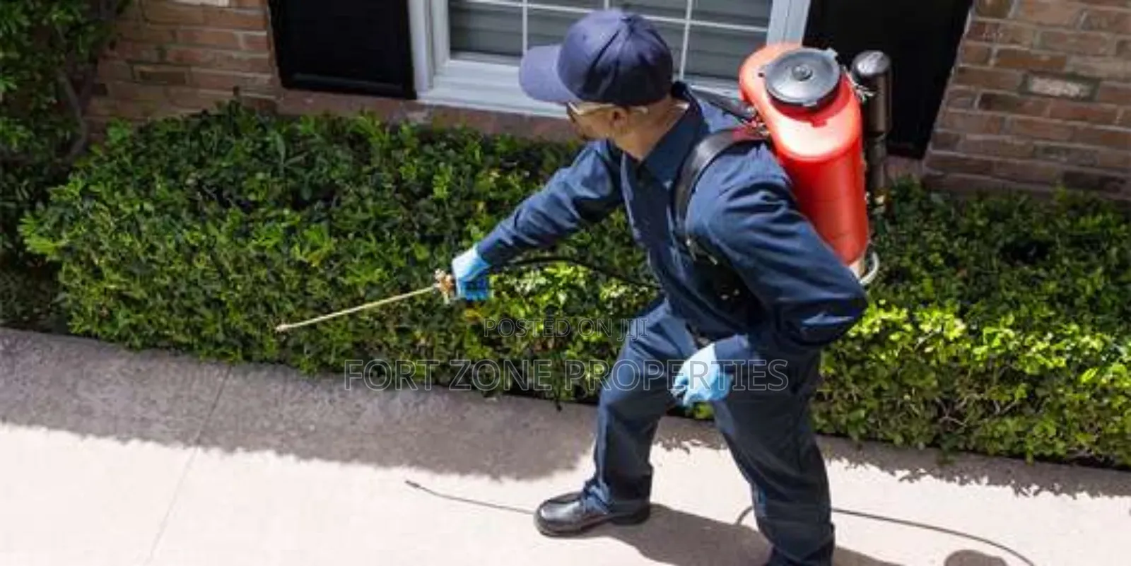 Snakes,Scorpion,Bedbugs Etc Removal