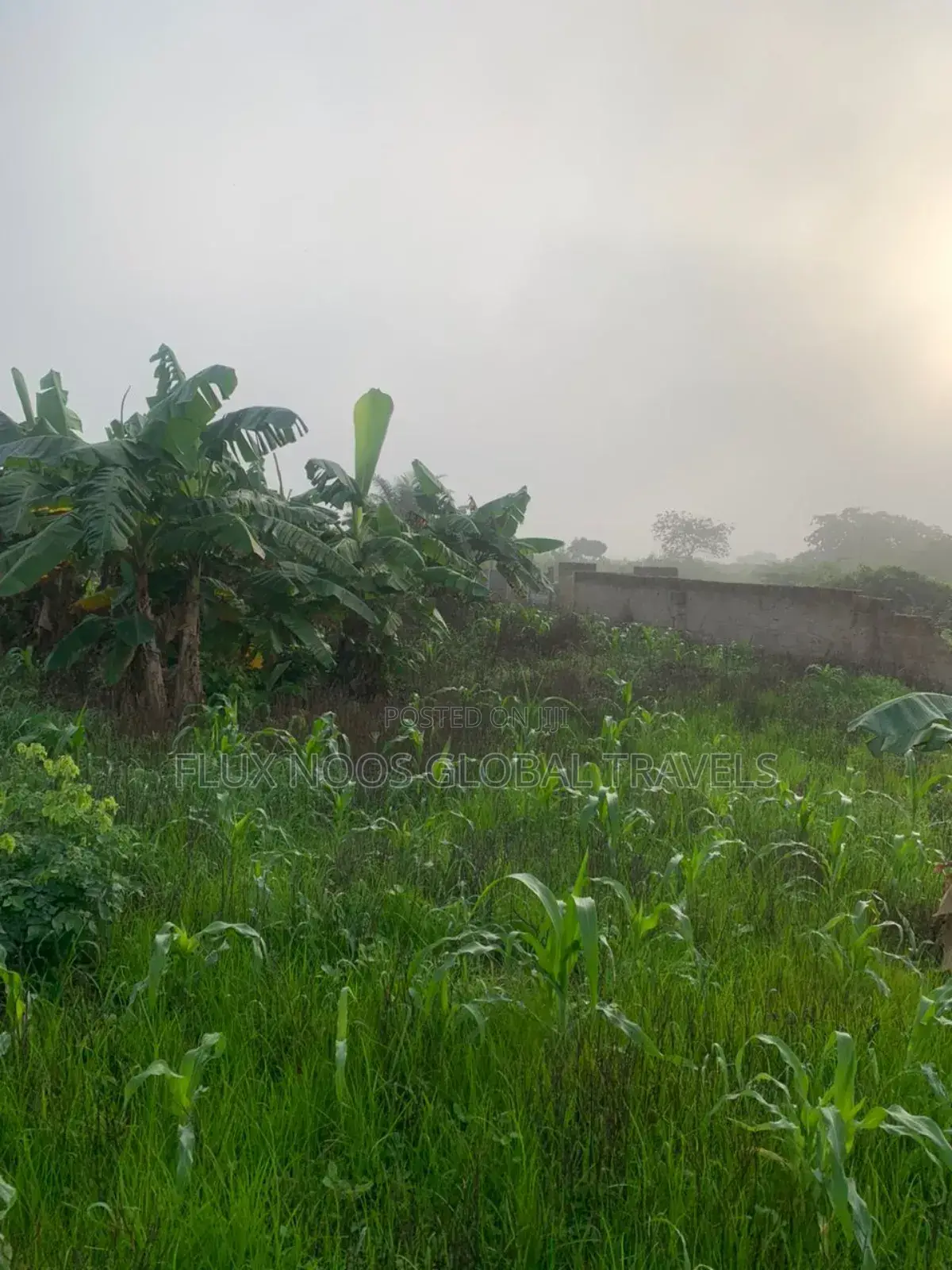 Registered 27 Plots of Land Available.
