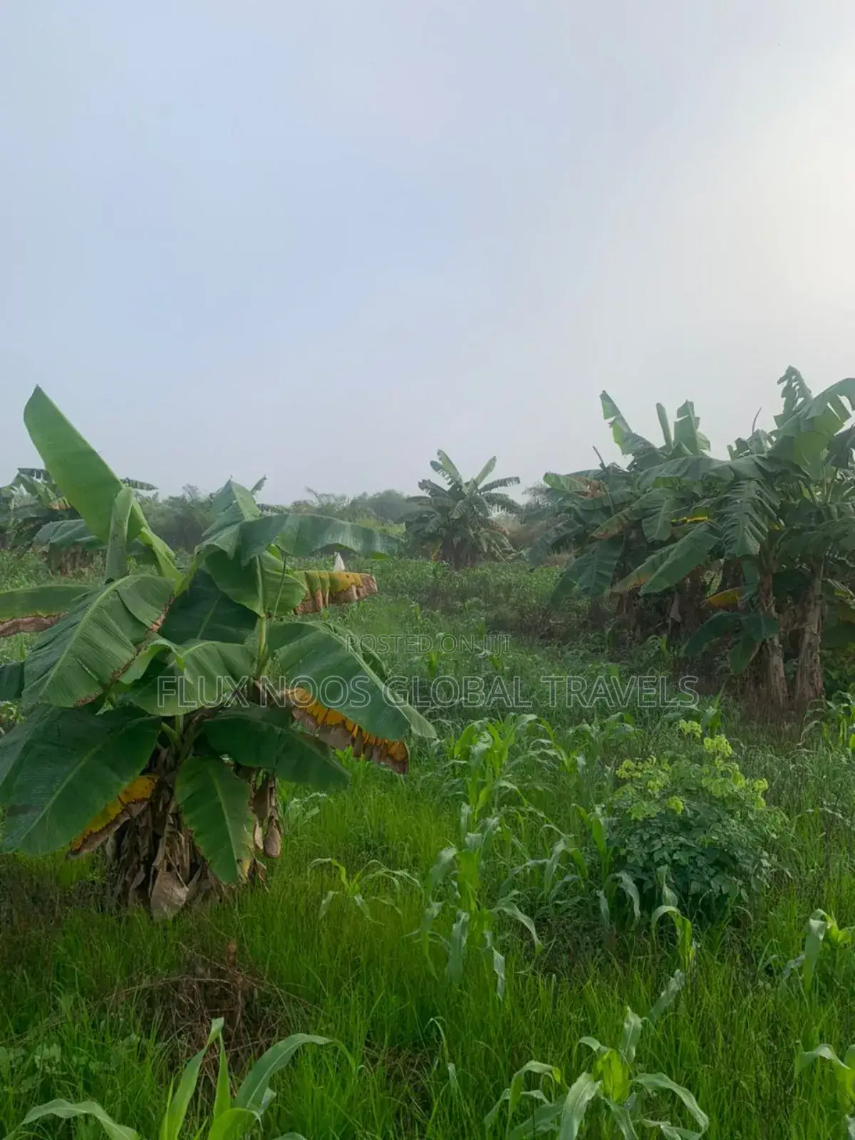 Registered 27 Plots of Land Available.