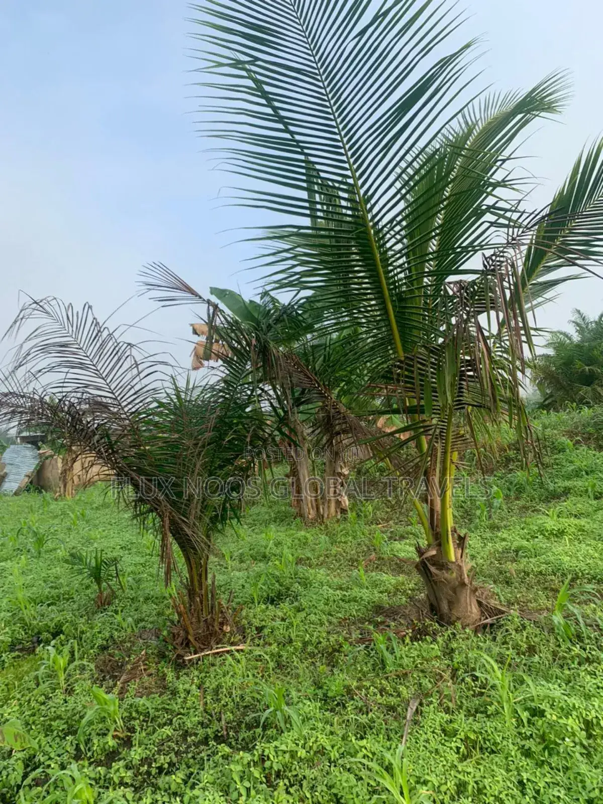 Registered and Gated 21 Plots for Sale.