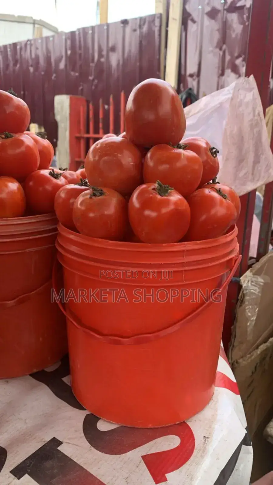 Fresh Tomatoes