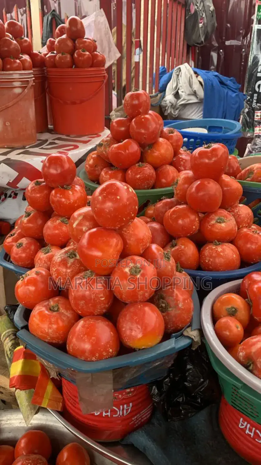 Fresh Tomatoes