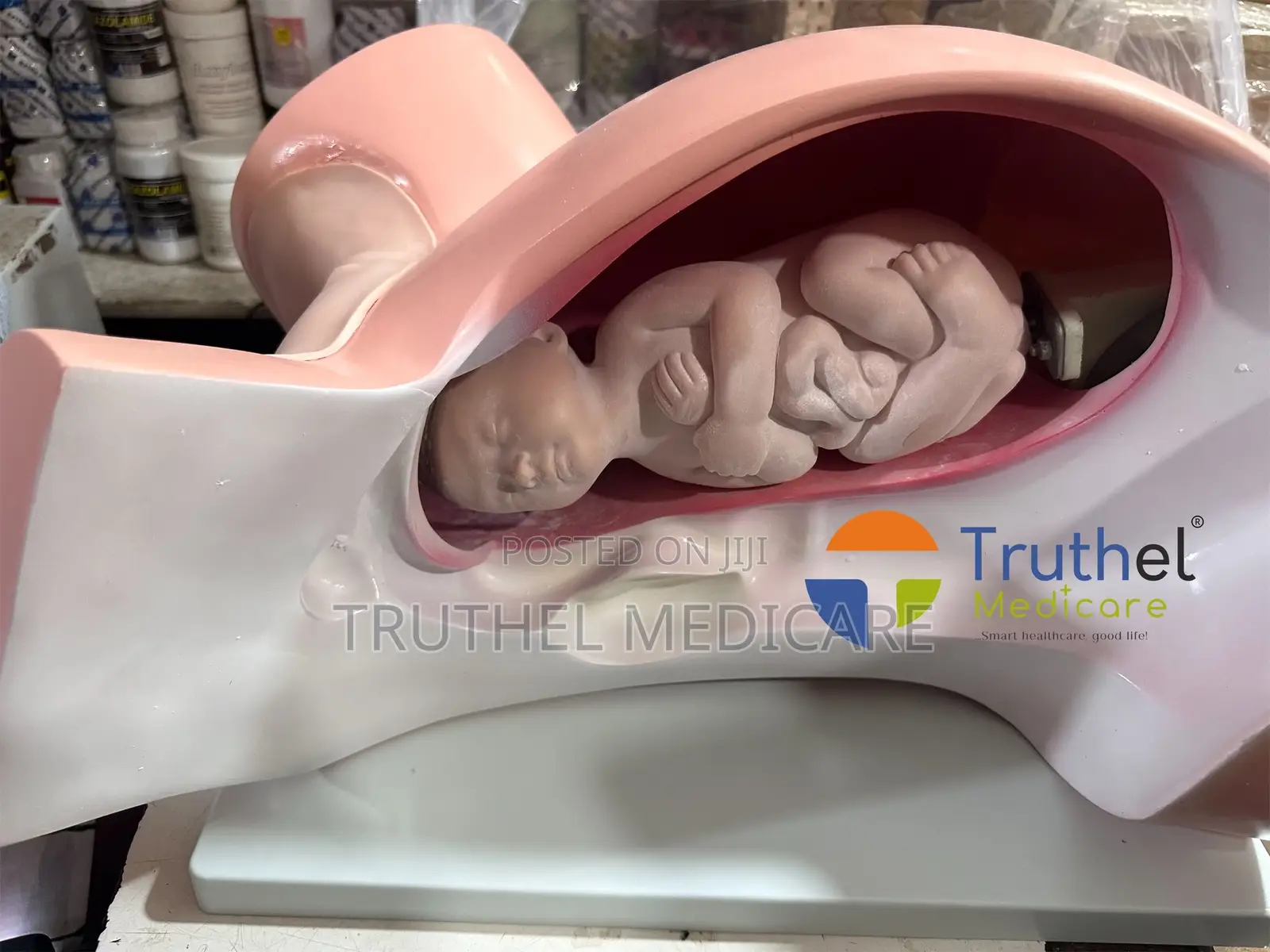 Baby Delivery Dummy (Manual)