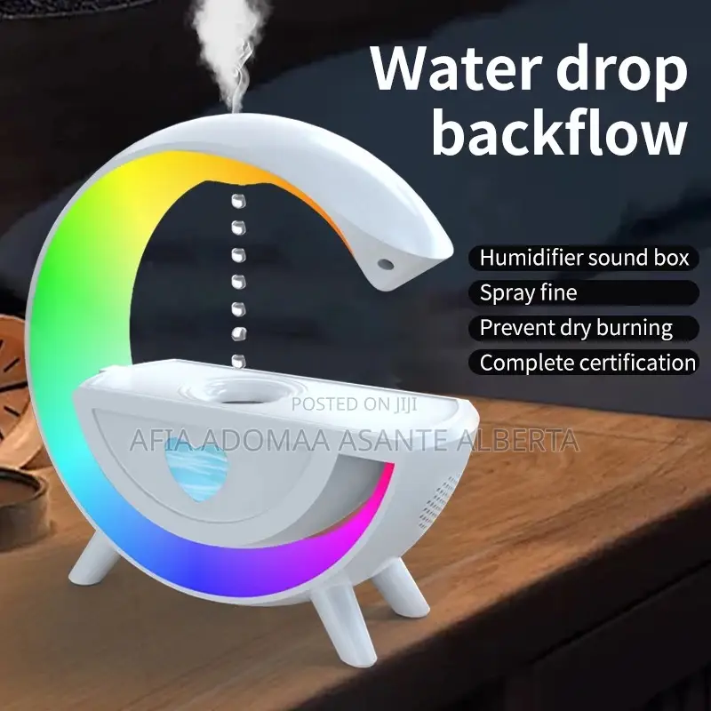 Dual Purpose Humidifier