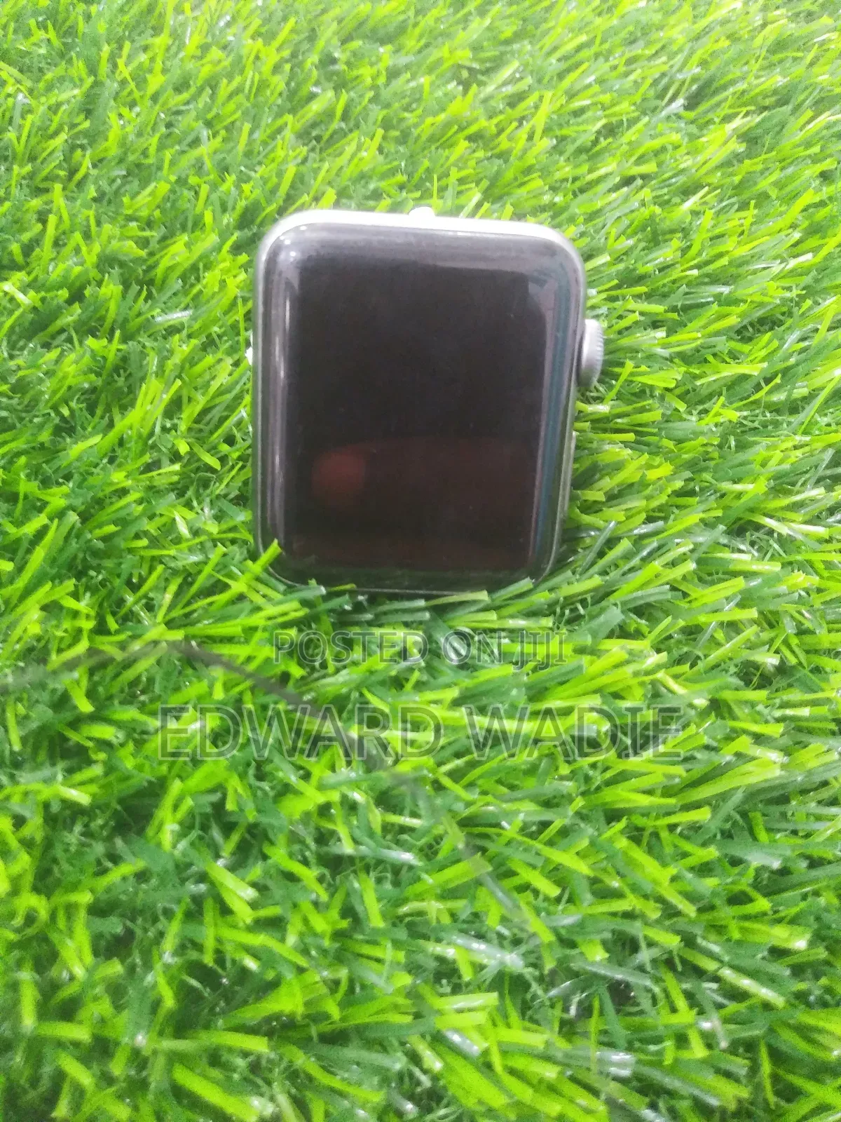 Apple Series Watch