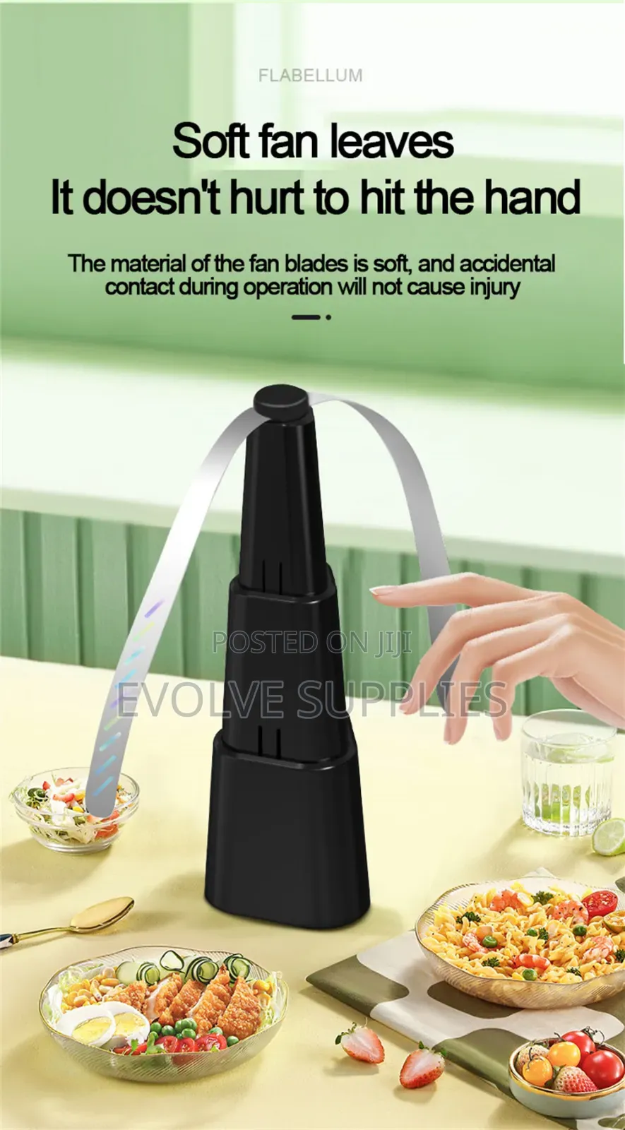 Retractable Fly Fan