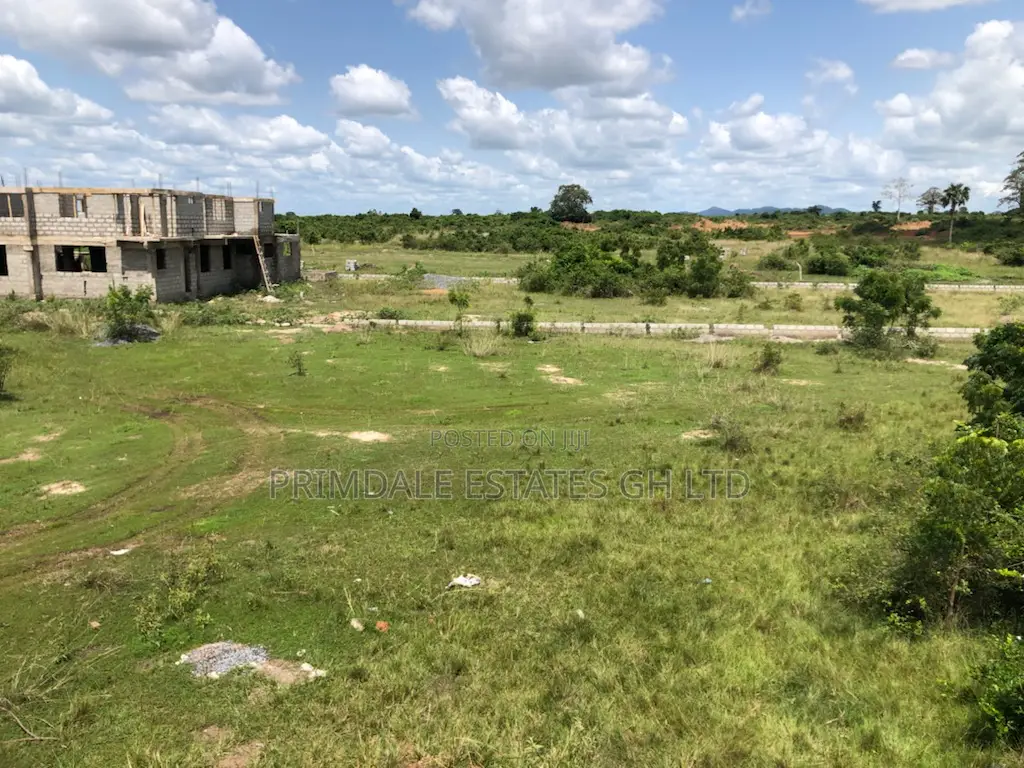 Afienya Luxury City Plots on Sale (Affordable)