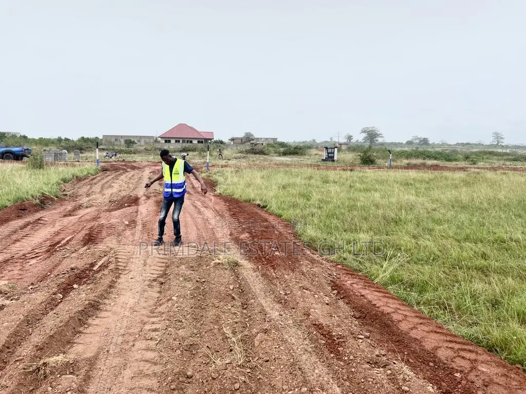Estate Developing Demarcated Lands Afienya on Sale