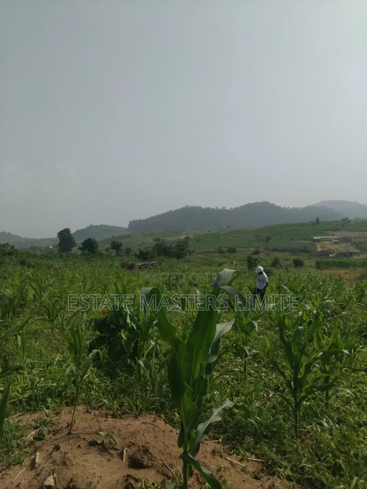 Serene Environment Plots of Land for Sale at Dominase
