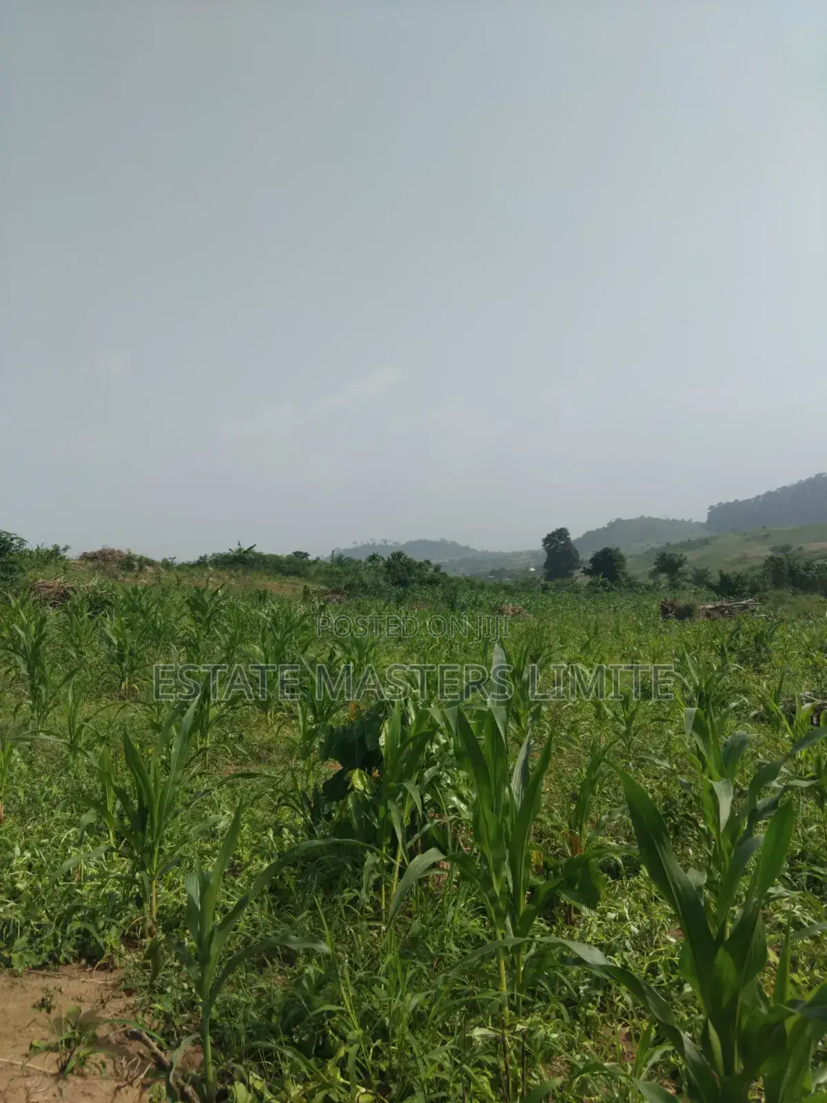 Land Is a Basic Need Buy a Plots of Land at Dominase
