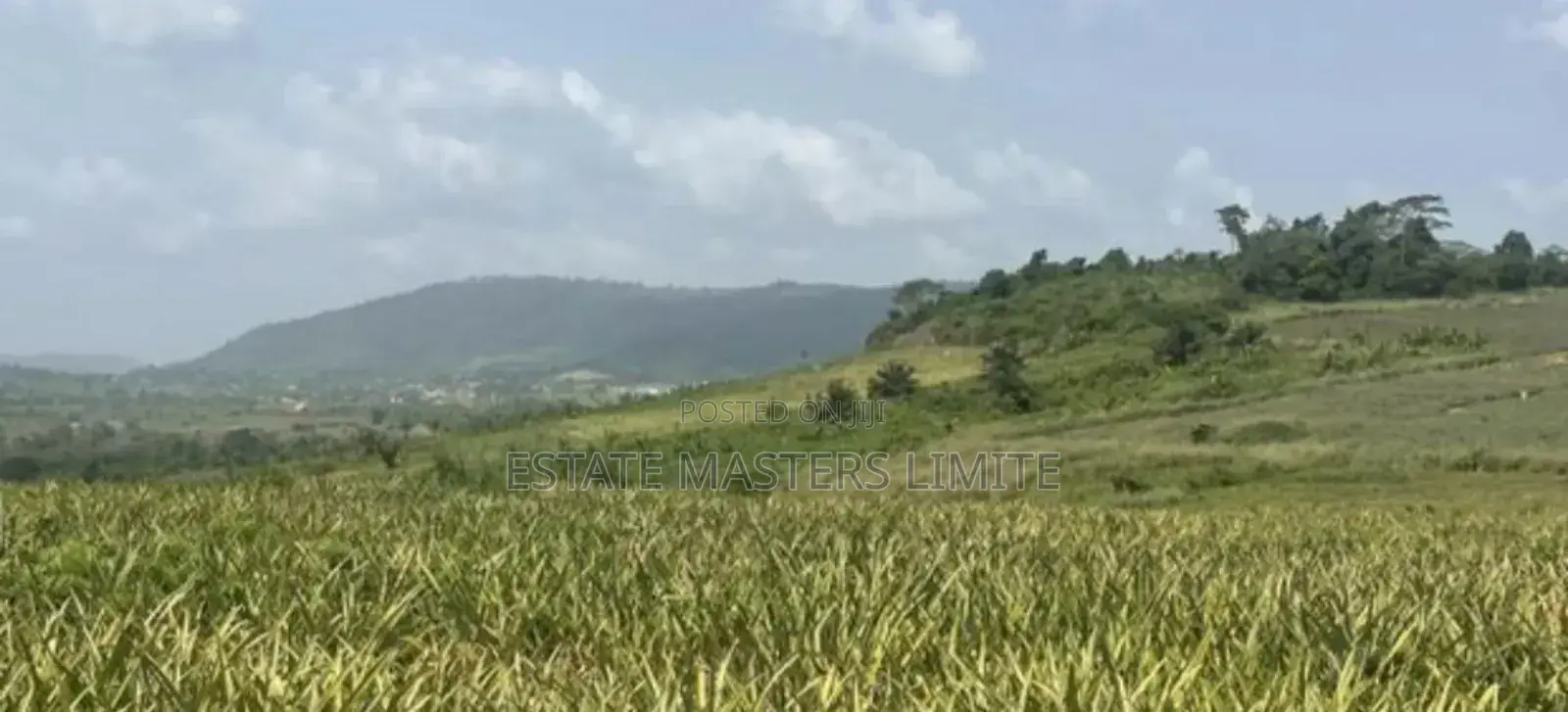 Verified and Certified Plots of Land for Sale at Dominase
