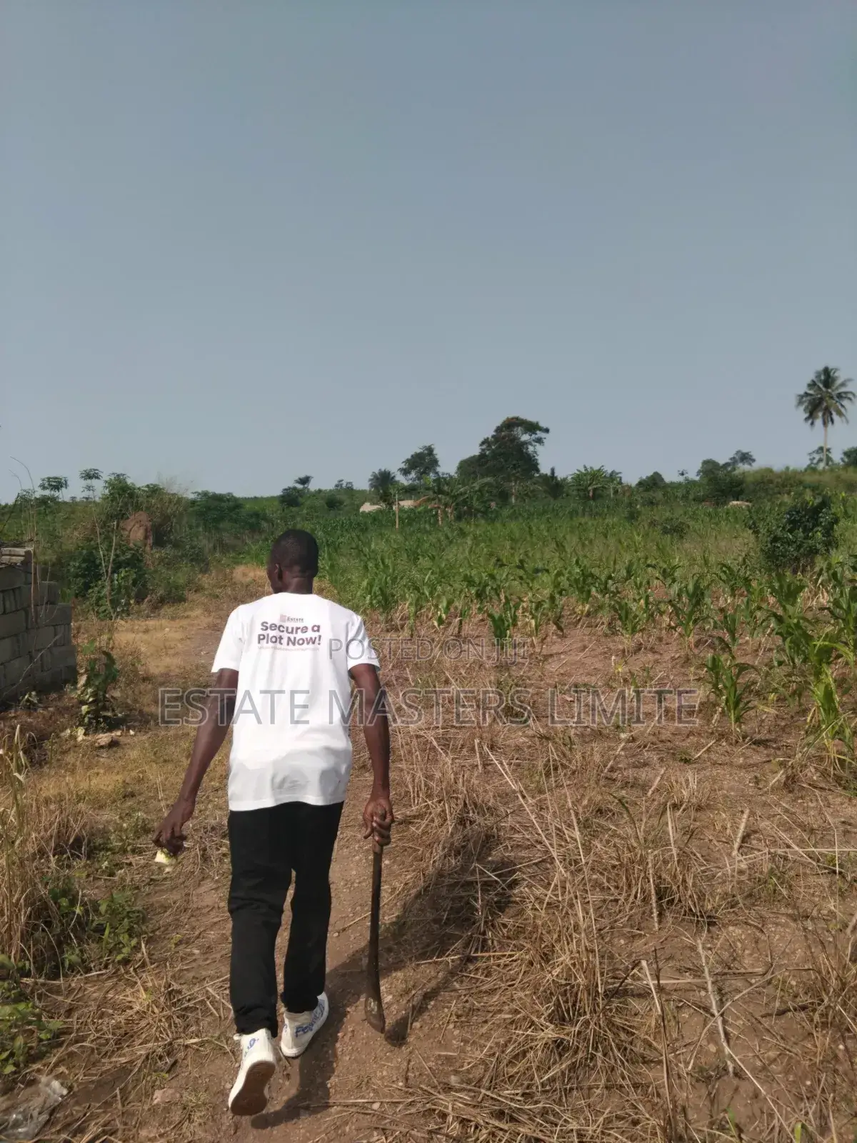 Build a Paradise on Our Lands at Dominase Litigation Free
