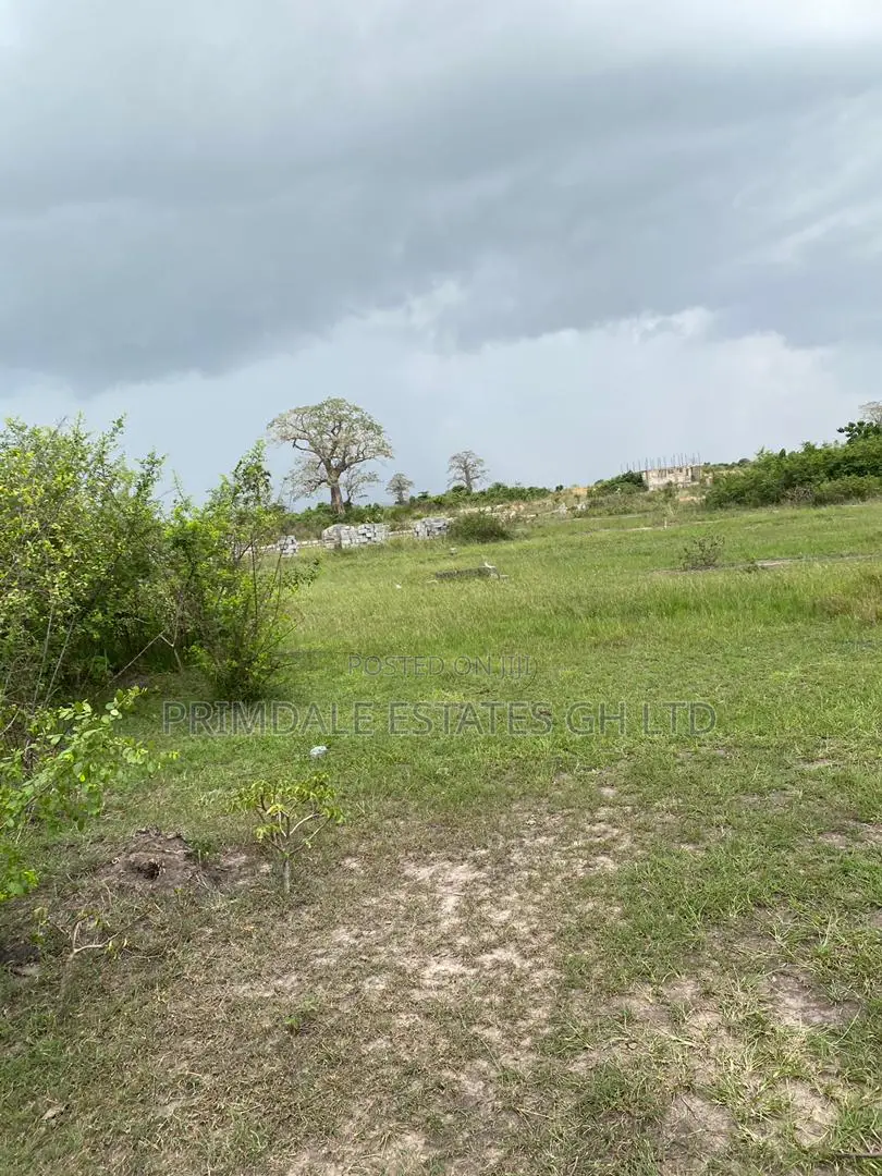 Luxury City Afienya Estate for Sale