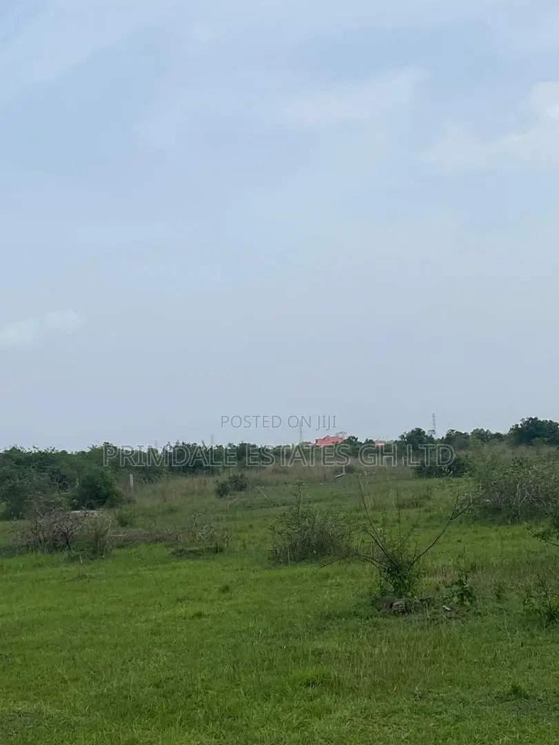 New Horizon Lands for Sale at Afienya