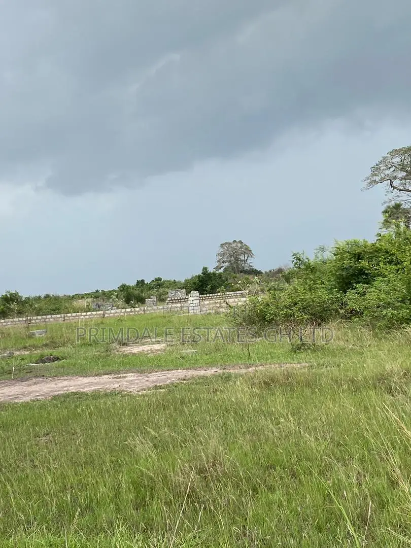 Titled Estate Well Demarcated Plots Afienya on Sale