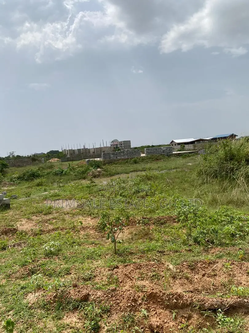 Afienya-(No Litigation) Estate Half Plots