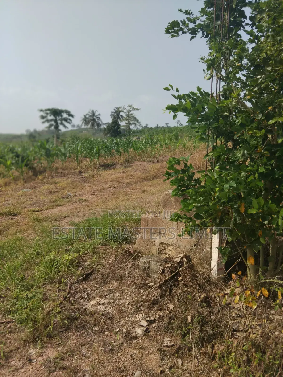 Invest in Your Dreams Prime Land for Sale